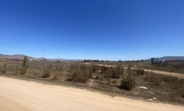 Se vende terreno de 4,000 m2 en Valle de Guadalupe