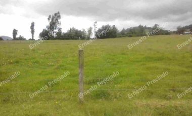FINCA NEMOCON