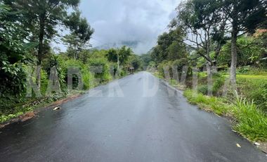 Tanah kebun view bagus hawa sejuk candi kuning bedugul