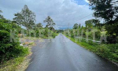 Tanah kebun view bagus hawa sejuk candi kuning bedugul