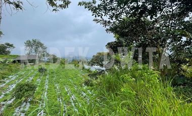 Tanah kebun view bagus hawa sejuk candi kuning bedugul