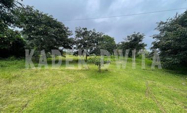 Tanah kebun view bagus hawa sejuk candi kuning bedugul