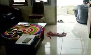 Rumah Dijual Dekat LRT Jakabaring Palembang