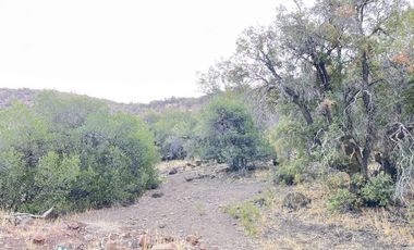Parcela en venta en San Francisco de Los Andes