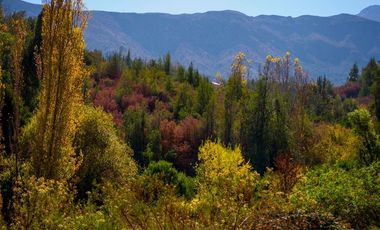 Parcela en venta en San Francisco de Los Andes