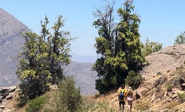 Parcela en venta en San Francisco de Los Andes
