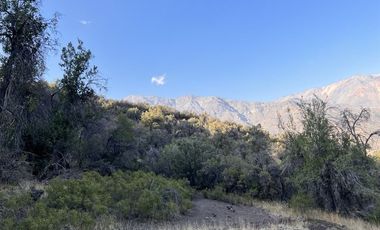 Parcela en venta en San Francisco de Los Andes