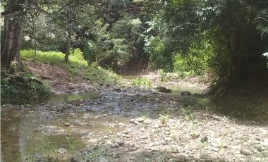 VENTA DE FINCA PROVINCIA DE CHIRIQU-4437RC