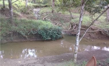 VENTA DE FINCA PROVINCIA DE CHIRIQU-4437RC