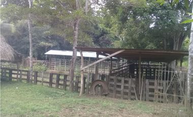 VENTA DE FINCA PROVINCIA DE CHIRIQU-4437RC