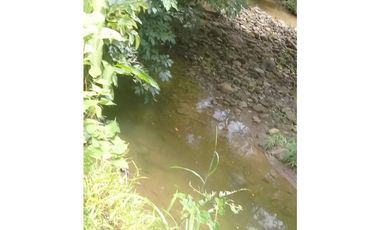 VENTA DE FINCA PROVINCIA DE CHIRIQU-4437RC