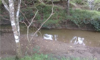 VENTA DE FINCA PROVINCIA DE CHIRIQU-4437RC