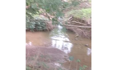 VENTA DE FINCA PROVINCIA DE CHIRIQU-4437RC