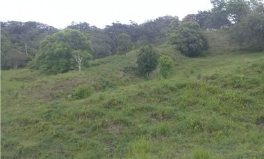 VENTA DE FINCA PROVINCIA DE CHIRIQU-4437RC