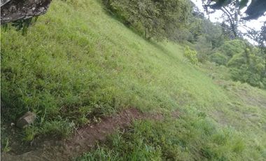VENTA DE FINCA PROVINCIA DE CHIRIQU-4437RC