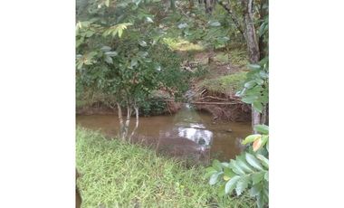 VENTA DE FINCA PROVINCIA DE CHIRIQU-4437RC
