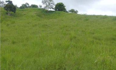 VENTA DE FINCA PROVINCIA DE CHIRIQU-4437RC