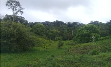 VENTA DE FINCA PROVINCIA DE CHIRIQU-4437RC