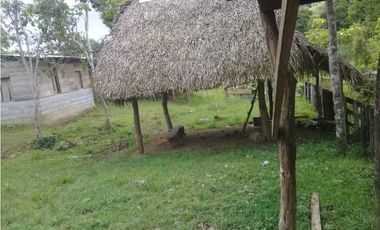 VENTA DE FINCA PROVINCIA DE CHIRIQU-4437RC
