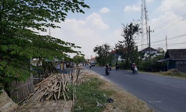 Jual Tanah Industri Luas dan Murah di Raya Benjeng Gresik