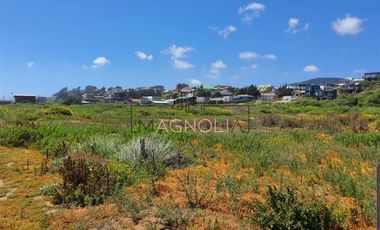Sitio en Venta en Cahuil