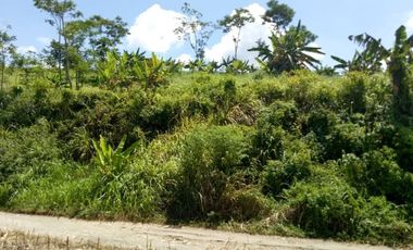 Jual Tanah Perumahan 26 Ha Di Cipatat Bandung Barat