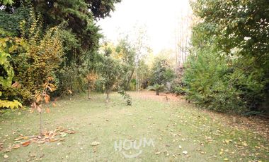 Casa Lo cañas ID: 132831s