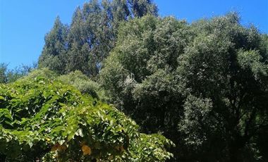 Parcela en Venta en Camino a Sta. Barbara km. 8