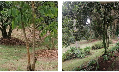 casa campestre en arriendo en dapa - yumbo. Cod A11652