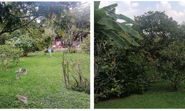 casa campestre en arriendo en dapa - yumbo. Cod A11652