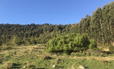 Parcela en Venta en La Trafa - Lago Ranco
