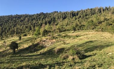 Parcela en Venta en La Trafa - Lago Ranco