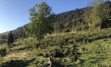 Parcela en Venta en La Trafa - Lago Ranco
