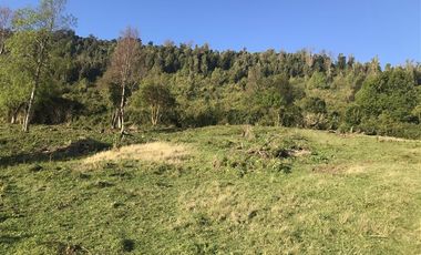 Parcela en Venta en La Trafa - Lago Ranco