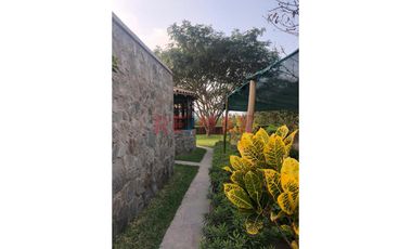 Venta De Dos  Lotes De Terrenos  Agrícolas En El Valle De Mala