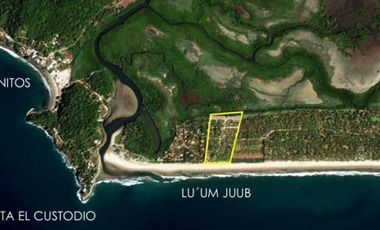 Terreno en venta en Tepic - Playa Tortugas Luum Juub