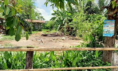 Land for sale in Sawai, Si Sa Ket