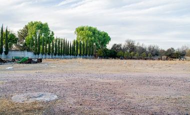 Terreno - Deportivo - Juan Aldama, Zacatecas
