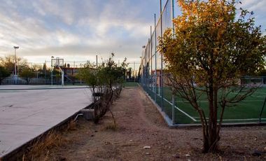 Terreno - Deportivo - Juan Aldama, Zacatecas