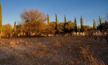 Terreno - Deportivo - Juan Aldama, Zacatecas