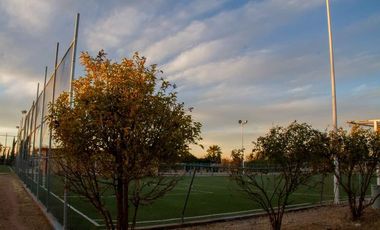 Terreno - Deportivo - Juan Aldama, Zacatecas