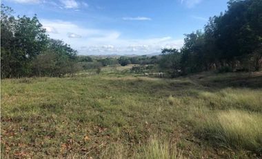 VENTA TERRENO CHITRE - SOBRE VIA - OFERTA