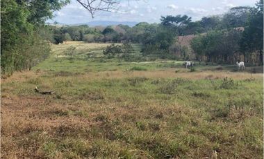 VENTA TERRENO CHITRE - SOBRE VIA - OFERTA
