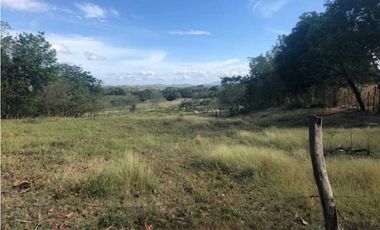 VENTA TERRENO CHITRE - SOBRE VIA - OFERTA