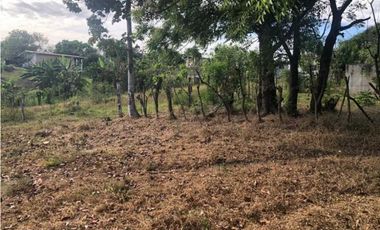 VENTA TERRENO CHITRE - SOBRE VIA - OFERTA
