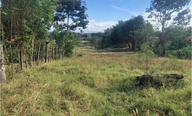 VENTA TERRENO CHITRE - SOBRE VIA - OFERTA