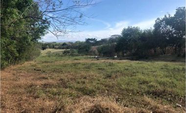 VENTA TERRENO CHITRE - SOBRE VIA - OFERTA