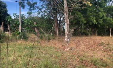 VENTA TERRENO CHITRE - SOBRE VIA - OFERTA