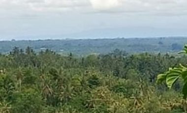 Land of valley and mountain views in Selemadeg Bali
