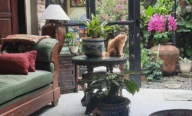 Dijual Rumah siap pakai di Lebak Lestari Indah bebas banjir